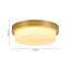 Brass LED Opal Glass Round Ceiling Light