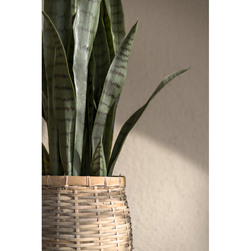 Bohemian Pots Handmade Cement/Bamboo Planter