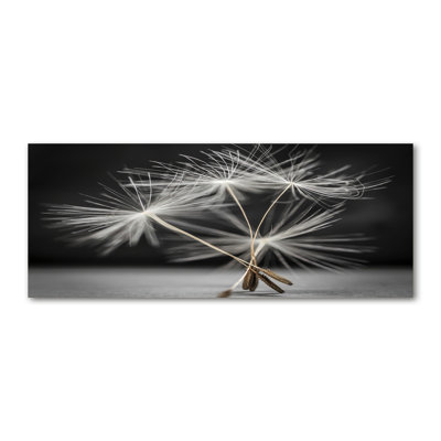 Dandelion Seeds - No Frame Print