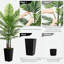 Plant-1581195633