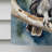 House Flag-112700306