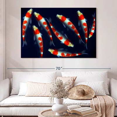 Poissons koi Brampt Sleek