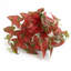 30cm Faux Plant-127681158