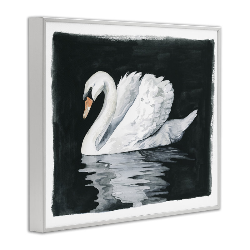 Beautiful Swan Black Reflection by Grace Popp - Floater Frame Print on Wood, 16" H x 20" W x 1.5" D
