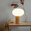 Lampe de table moderne à DEL 9,5 po avec abat-jour ovale en verre givré et port USB-C Ivy Wood-314973743-314973742