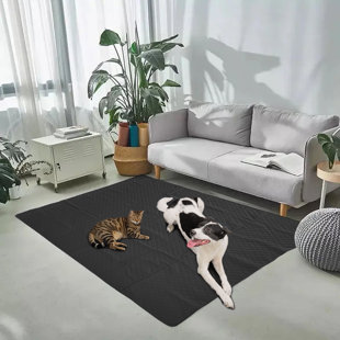 2x3 Rug, Pig Rugs for Entryway Living Room Bedroom, Cute Piglet Small Area  Rug & Bedroom Decor, Washable Non Slip Soft Low Pile Indoor Door Mat, Home