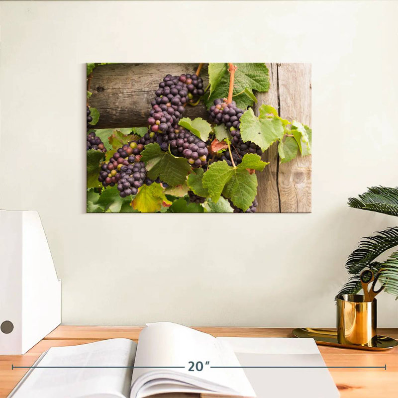 Yarlin - Pinot rouge raisin, H 8 po x l 12 po