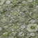 Kaylani Washable Floral Indoor / Outdoor Rug