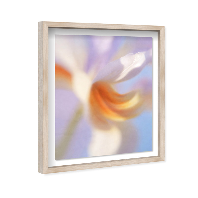 Blurred Venus II Print by Oliver Gal, 17.5"H x 21.5"W, Natural Oak Shadowbox