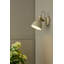 Azalea Spotlight-58964988