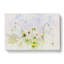 Two Butterflies upon Yellow Flowers - Wrapped Canvas-56666425