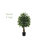 Ficus Artificial Tree