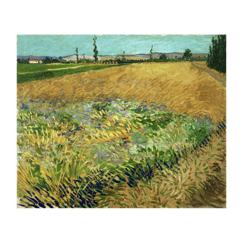 «Wheatfield» par Vincent van Gogh - estampe numérique, H 22 po x l 28 po