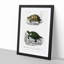Tortoise & Turtle Illustrations PL. 1 by Charles d' Orbigny - Picture Frame Painting Print-55610913-55610909