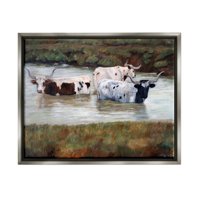 " Longhorn Cattle Bathing Rural Pond "