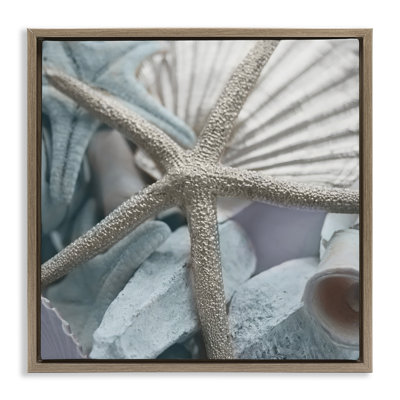 «Seashells & Starfish», art mural encadré flottant par Susan Bryant