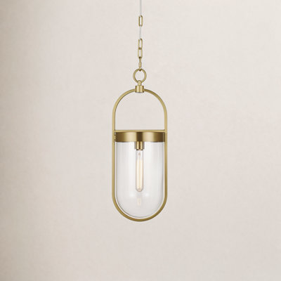 Single Light Glass Dimmable Pendant