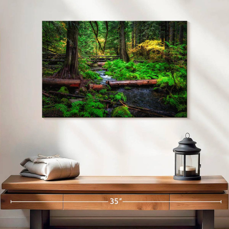 Ruisseau Alvord Willamette National Forest, H 16 po x l 24 po