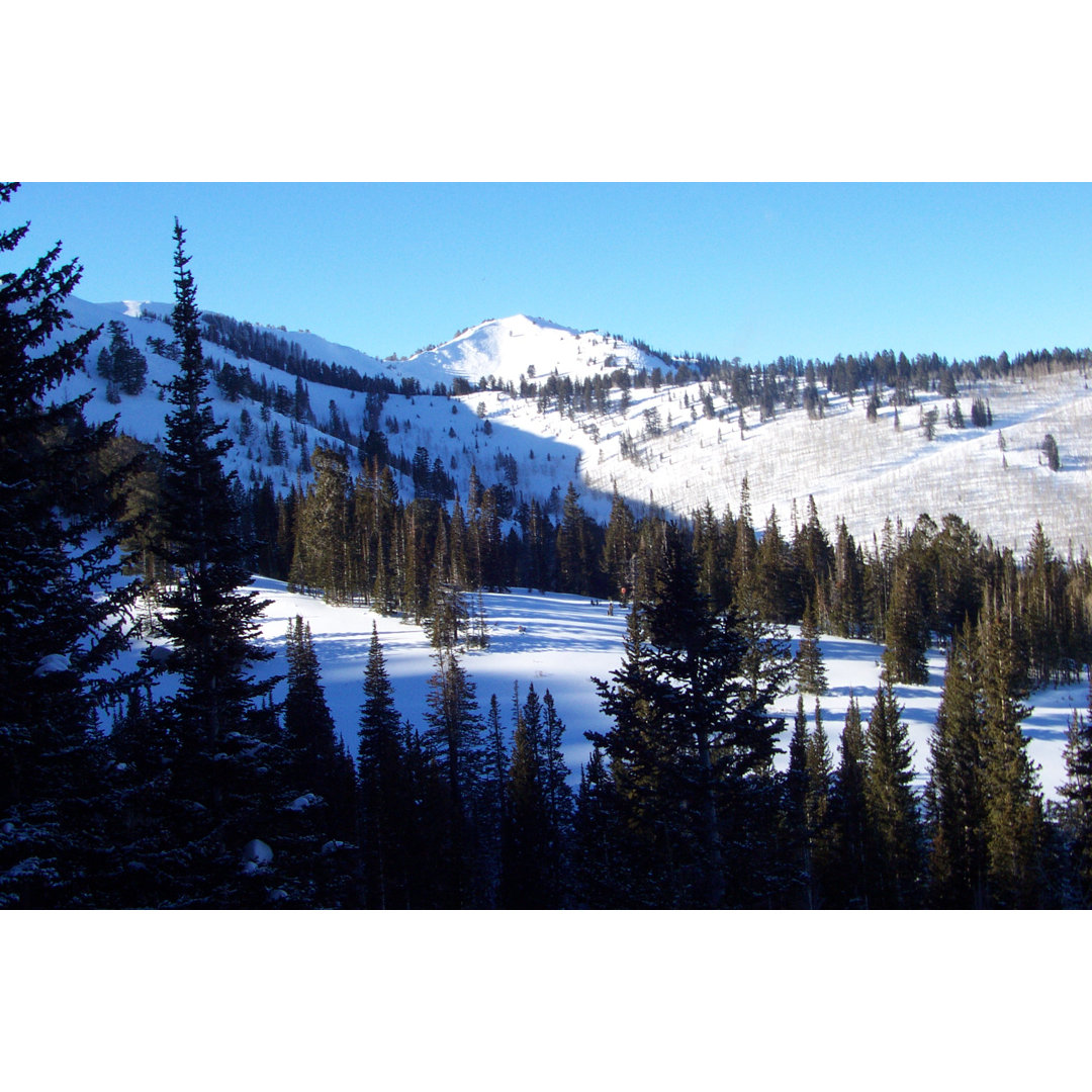 Leinwandbild Mountain Scenic mit Baum Shilloete im Vordergrund