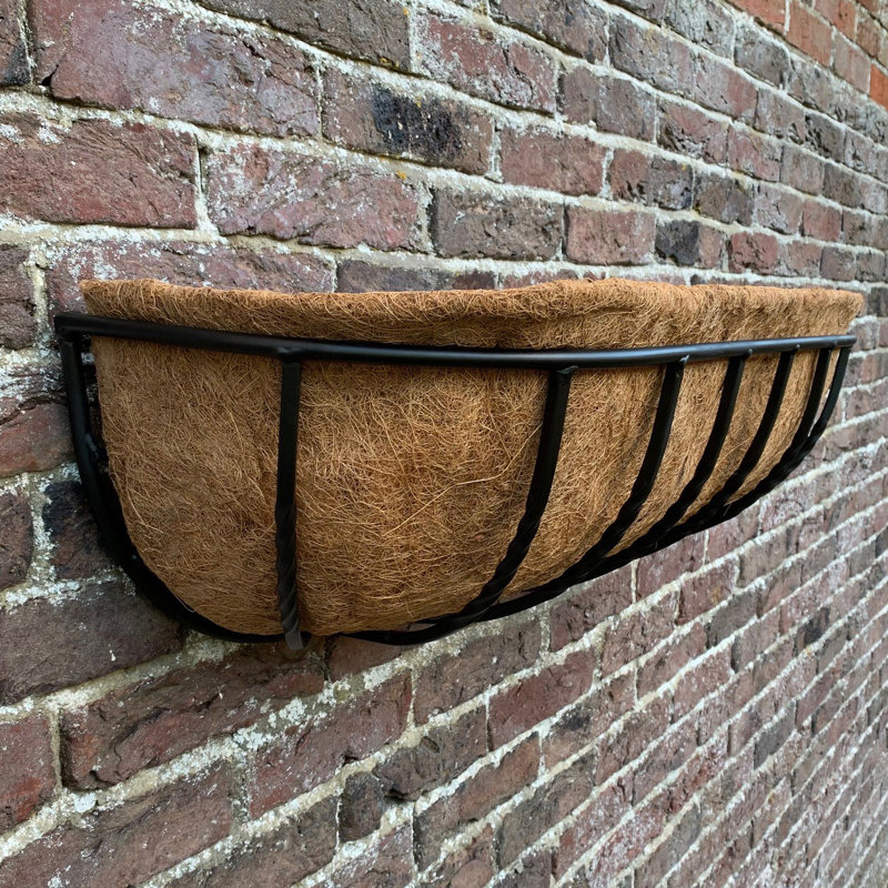Alameen Metal Wall Planter, 20cm H x 90cm W x 20cm D