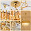 Anjelyn Chandelier-308006712-302166524-308007130