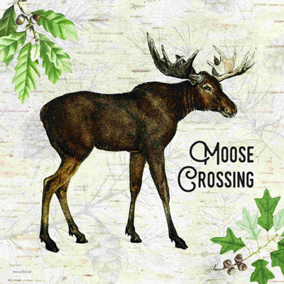Moose Crossing