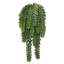 Plantes grasses artificielles en plastique