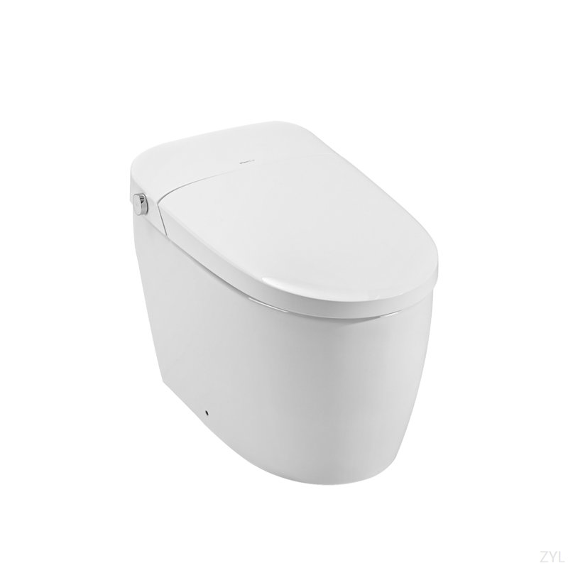 Combiné de bidet de toilette intelligent avec buse autonettoyante, siège chauffant, veilleuse, commande à bouton, chasse d'eau en cas de panne de courant, fermeture en douceur, chasse automatique, avec télécommande