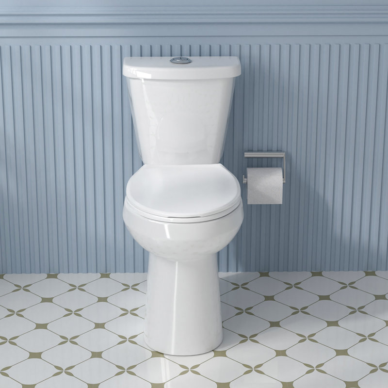 19" White Vitreous China Dual Flush Round Two-Piece Toilet