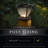 Dark Bronze Abs Low Voltage Integrated LED Fence Post Cap Light 3.5 In. X 3.5 In.