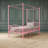 Canopy Metal Bed