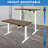 Single Motor Electric Standing Desk Base-2009013978