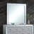 Murry G004800-M Mirror , Silver