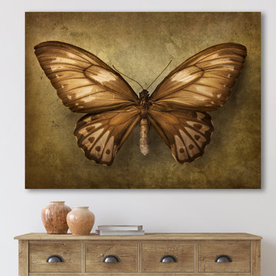 «Vintage Butterfly In Earth Tones», reproduction sur toile