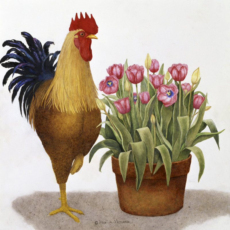 Tulip Time by Marcia Matcham - Wrapped Canvas Print, 30cm H x 30cm W