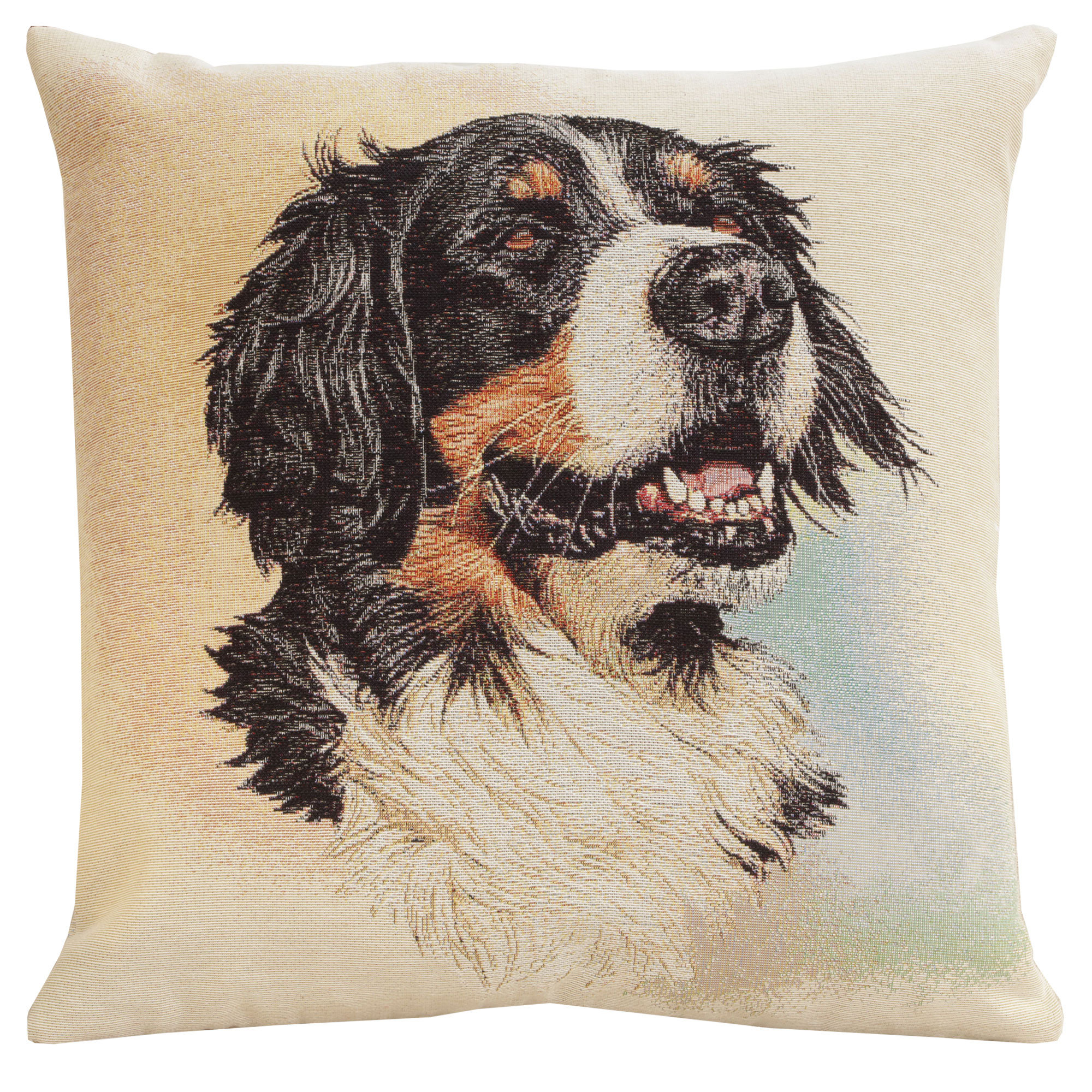 Bernese Cushion main image 0