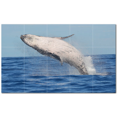 Dolphin Photo 4.25'' x 4.25'' Satin Ceramic Decorative Mural