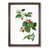 Walnut Framed selected