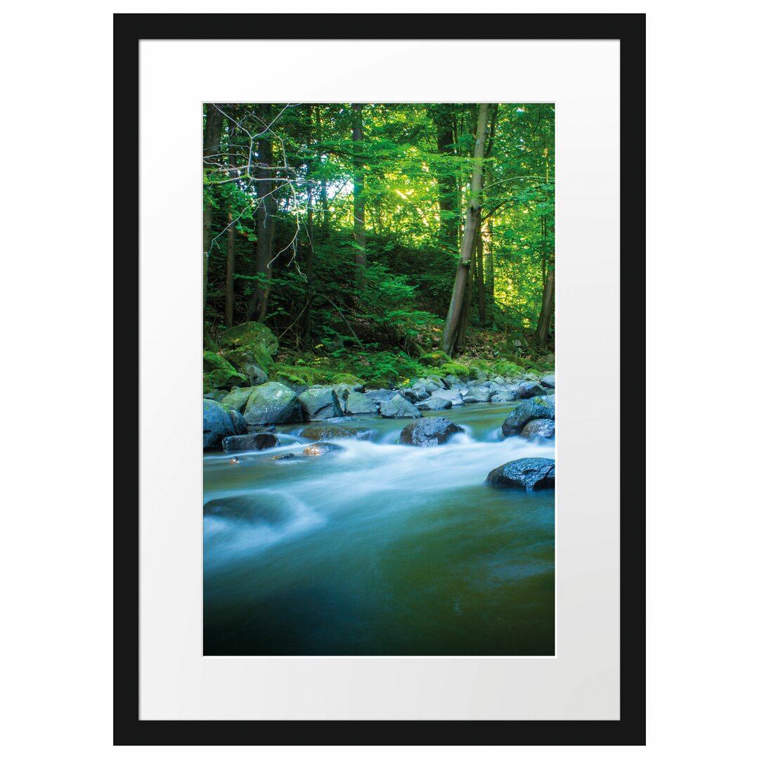 Gerahmtes Poster Fluss im Wald mit Steinen