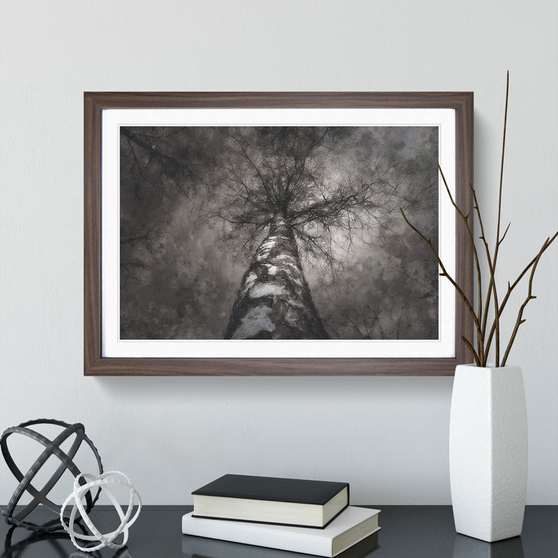 Birch Tree - Picture Frame Painting, 48cm H x 65cm W x 2cm D, Walnut Framed
