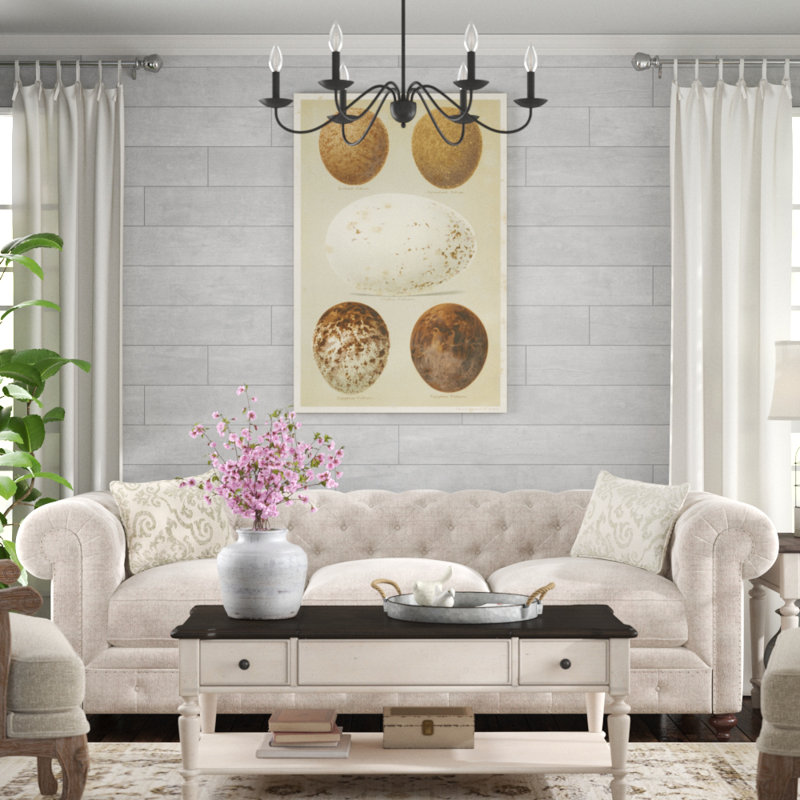 Antique Bird Egg Study III by Henry Seebohm - Painting Print, 122cm H x 81cm W, Wrapped Canvas