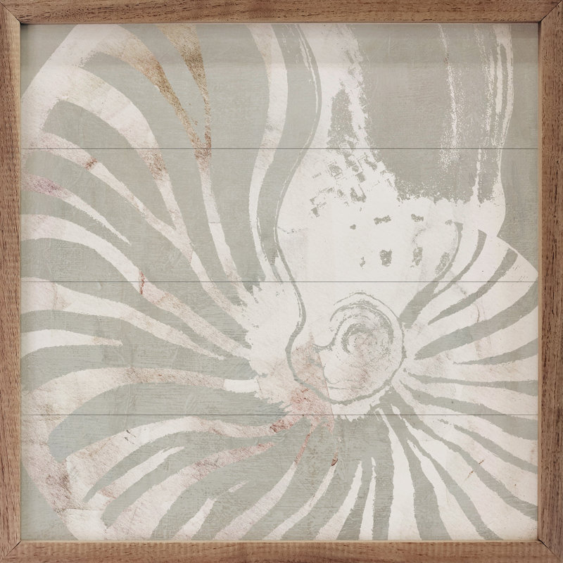 Gros plan sur un coquillage par Carol Robinson, H 16 po x l 16 po