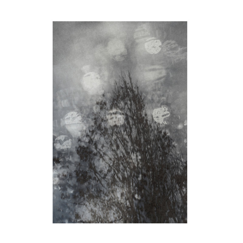 Art sur toile «Moody Tree», H 32 po x l 22 po