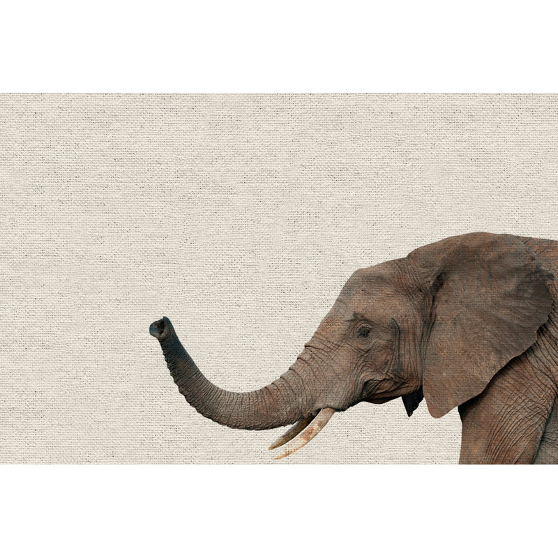 Side Elephant - Drawing on Canvas, 30cm H x 46cm W