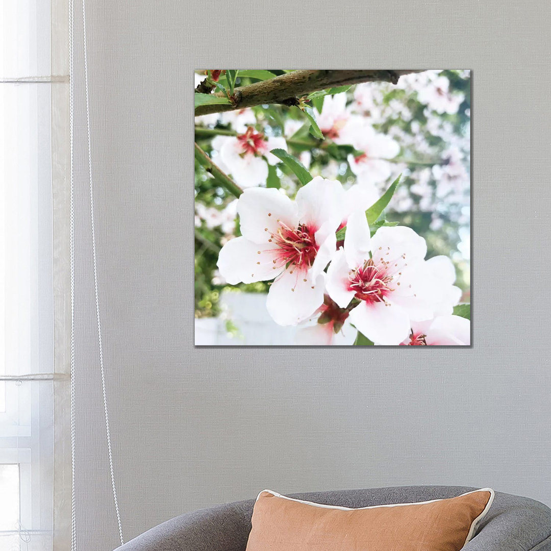 Flowering Peach Tree III by Irena Orlov - Wrapped Canvas Print
