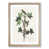 Oak Framed selected
