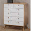 Allensby 6 Drawer Chest of Drawers-1070374310