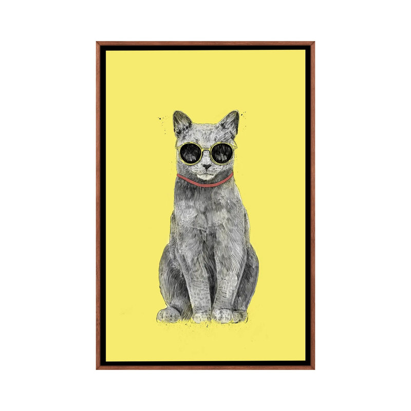 Summer Cat by Balazs Solti - Print on Canvas