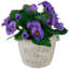 8 plantes