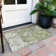 Alegandro Area Rug with Non-Slip Backing